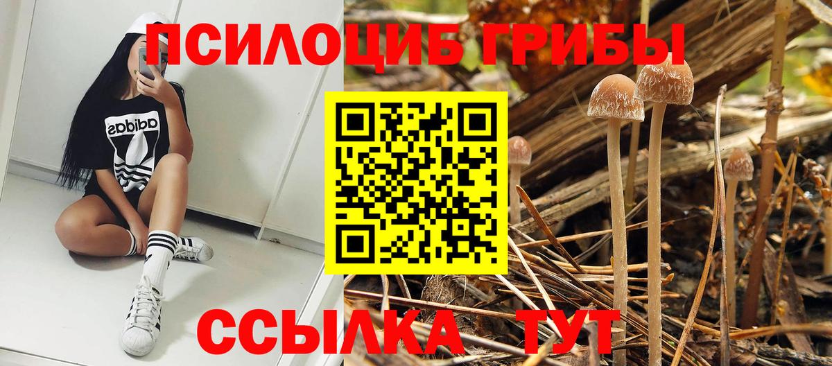 Псилоцибиновые грибы Psilocybine cubensis  Вход с VPN  наркошоп  Тольятти 